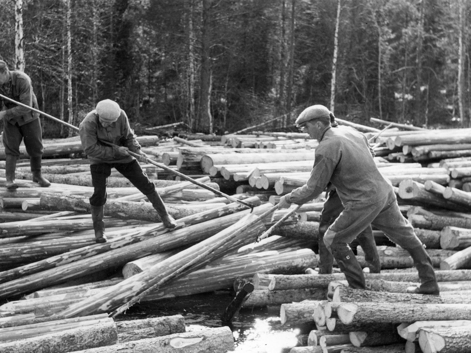 When driving timber, marking axes were used to secure ownership of the logs.