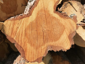 Wood is a living material with individual shapes, colors and other wood characteristics. During timber handling and storage, repeated readability with camera deteriorates due to color changes, fungal attacks, cracks, clay, snow, and more.